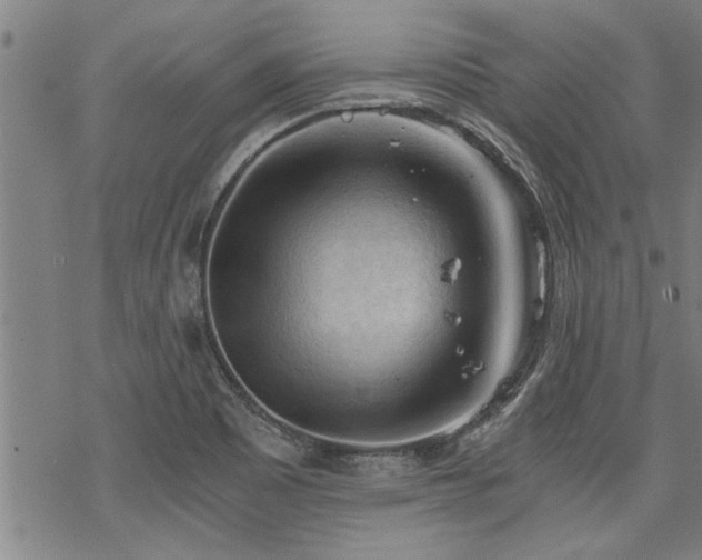 X0000069811465200605191033