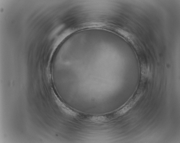 X0000069811466200605191033