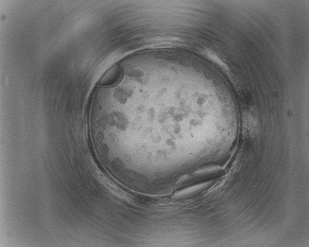 X0000069811467200605191033