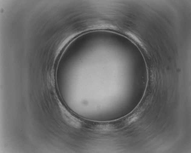 X0000069811468200605191033