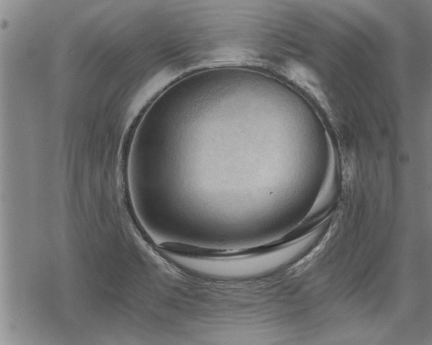 X0000069811469200605191033