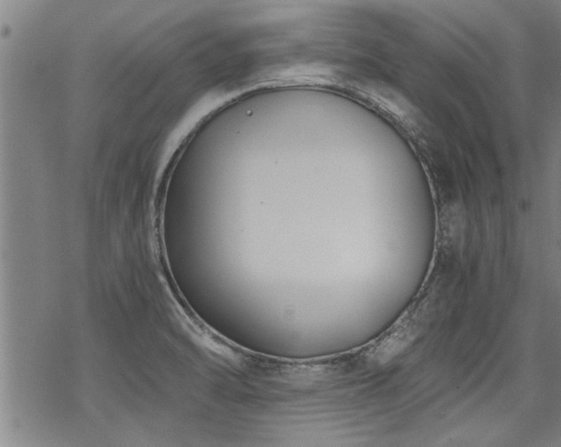 X0000069811470200605191033