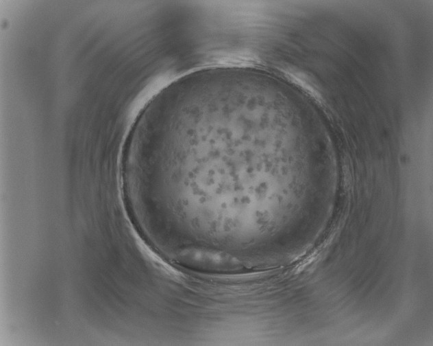 X0000069811471200605191033