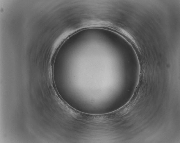 X0000069811472200605191033