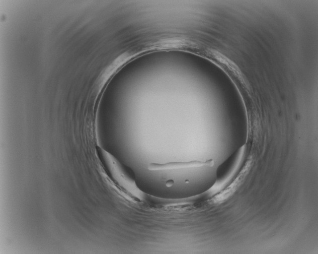 X0000069811473200605191033