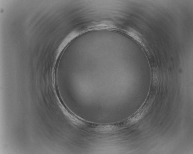 X0000069811474200605191033