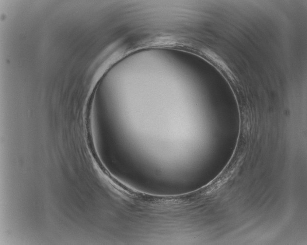 X0000069811475200605191033