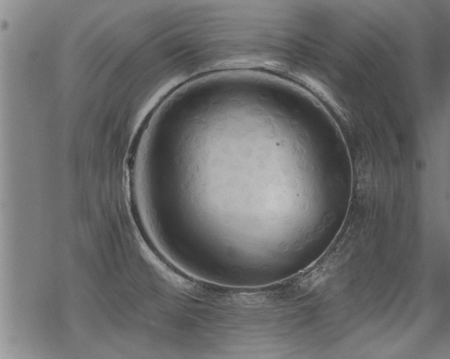 X0000069811476200605191033