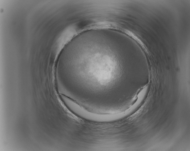 X0000069811477200605191033