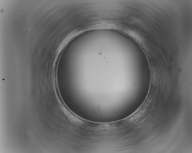 X0000069811478200605191033