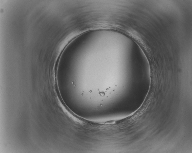 X0000069811479200605191033