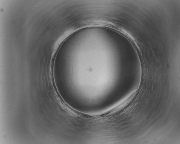 X0000069811480200605191033