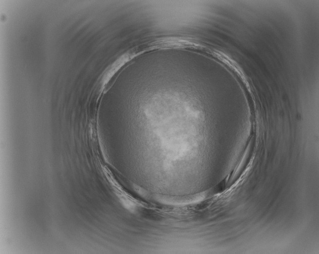 X0000069811481200605191033