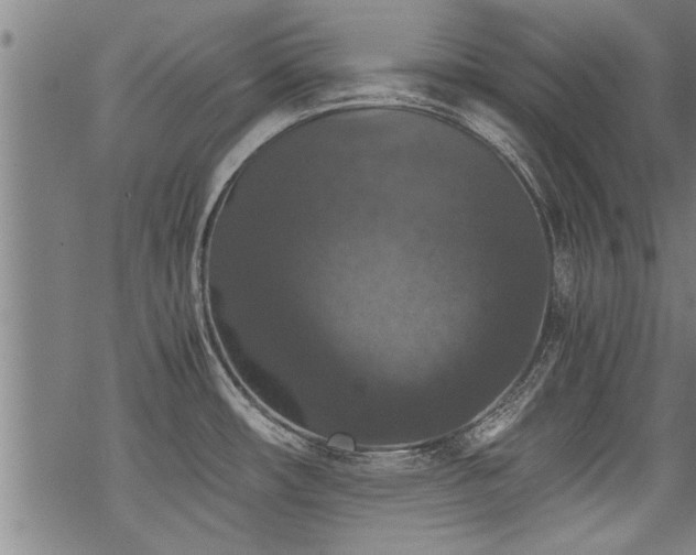 X0000069811482200605191033