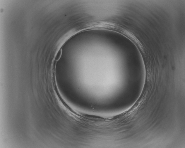 X0000069811483200605191033