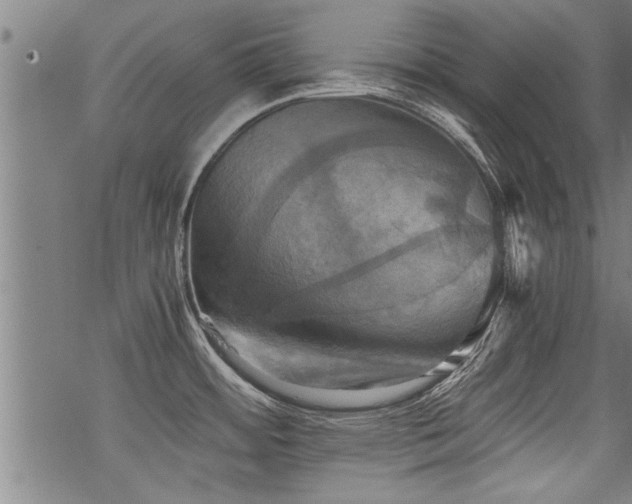 X0000069811484200605191033