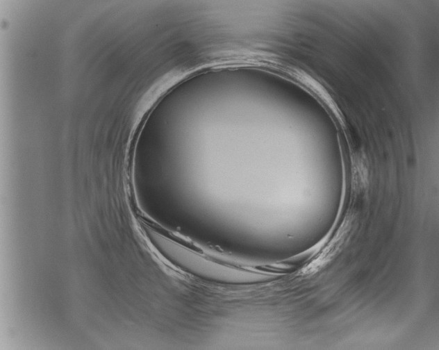 X0000069811485200605191033