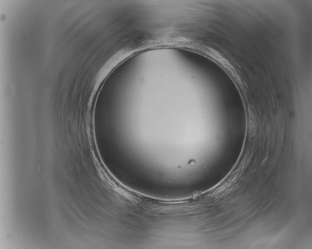 X0000069811486200605191033