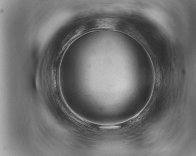 X0000069811487200605191033