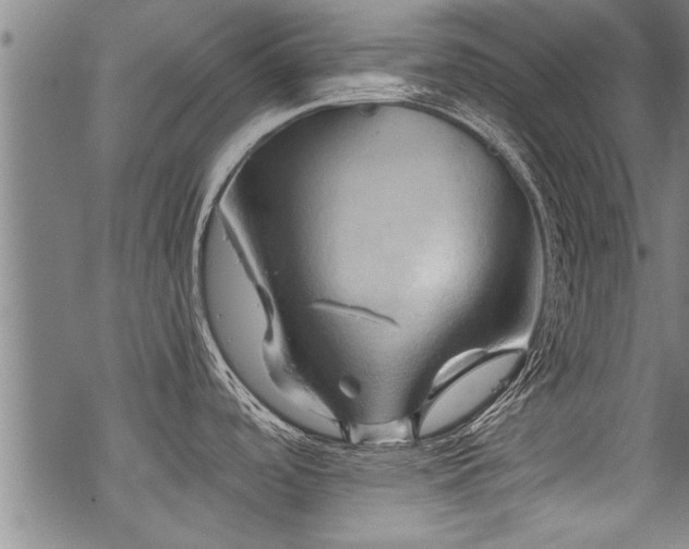 X0000069811488200605191033