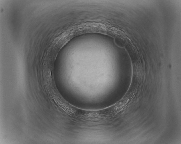 X0000069811489200605191032