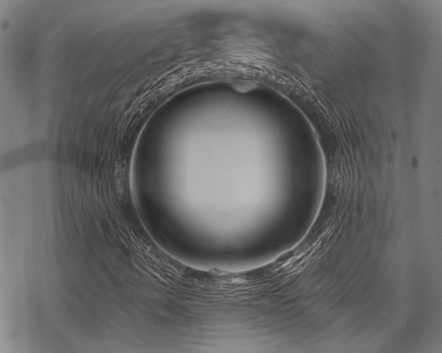 X0000069811490200605191032