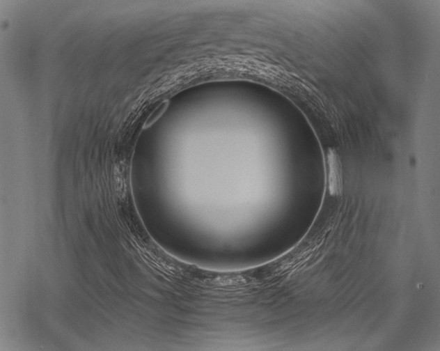 X0000069811491200605191032