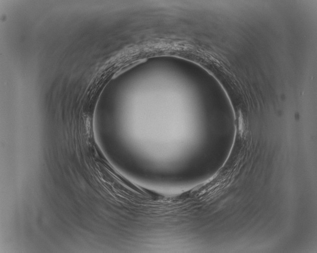 X0000069811492200605191032