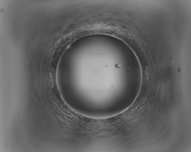 X0000069811493200605191032