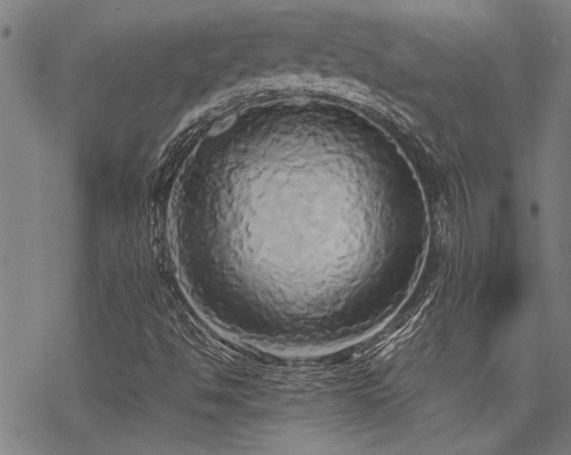 X0000069811494200605191032