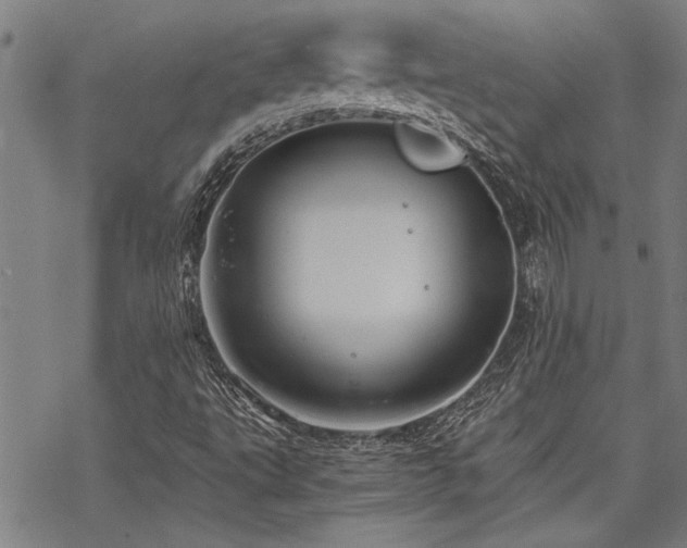 X0000069811495200605191032