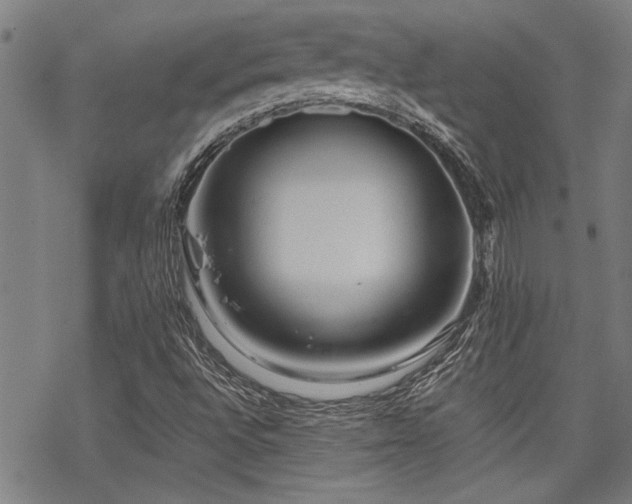 X0000069811496200605191032