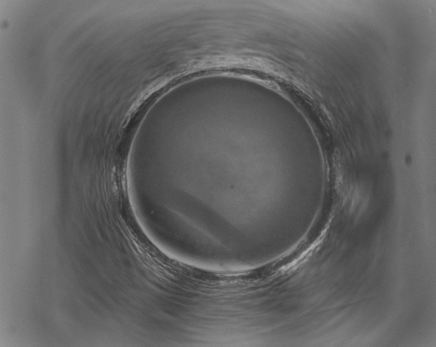 X0000069811497200605191032