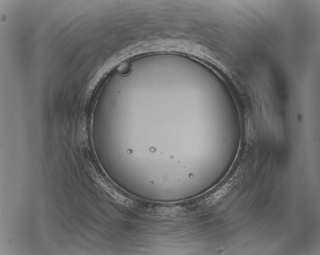 X0000069811498200605191032