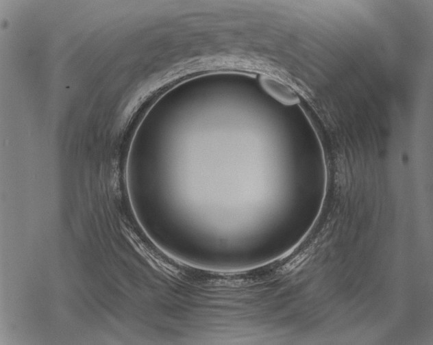 X0000069811499200605191032