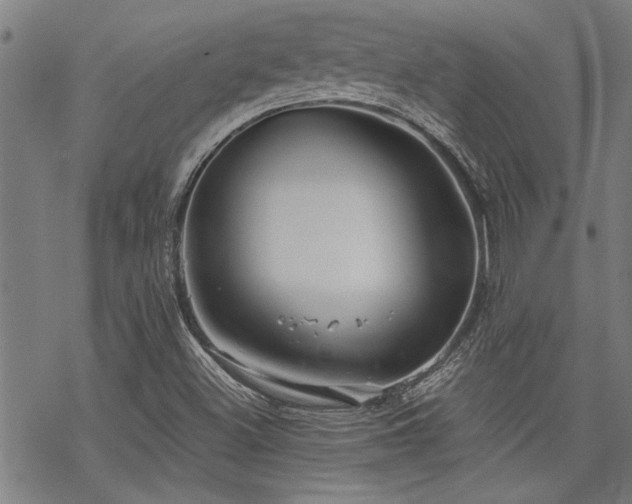 X0000069811500200605191032