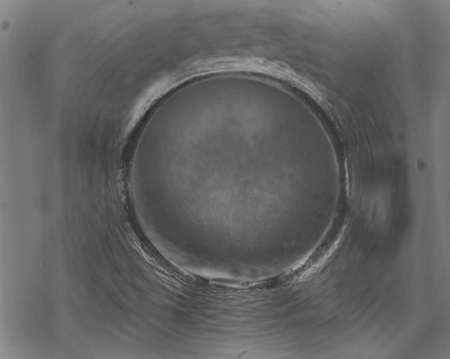 X0000069811501200605191032