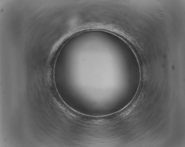 X0000069811502200605191032