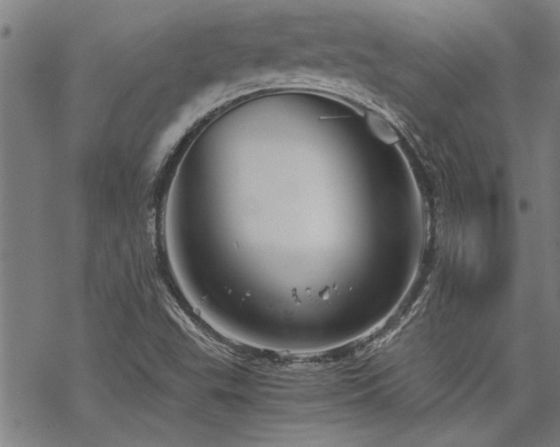 X0000069811503200605191032