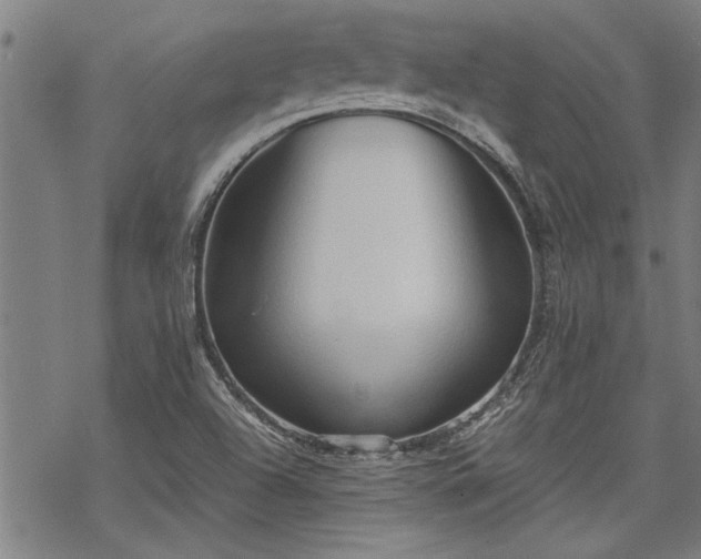 X0000069811504200605191032