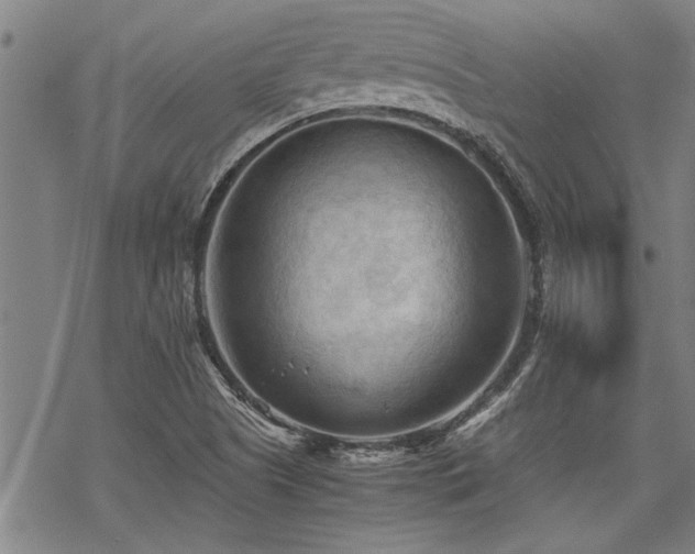 X0000069811505200605191032