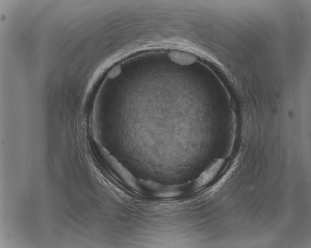 X0000069811506200605191032