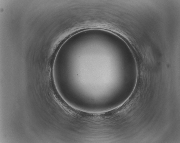 X0000069811507200605191032