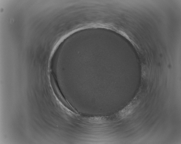 X0000069811508200605191032