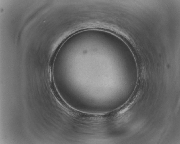 X0000069811509200605191032