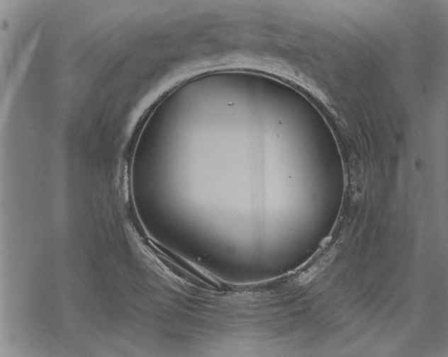 X0000069811510200605191032