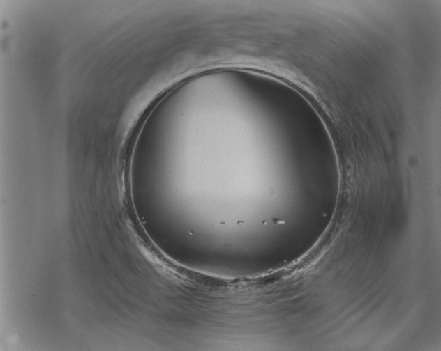 X0000069811511200605191032