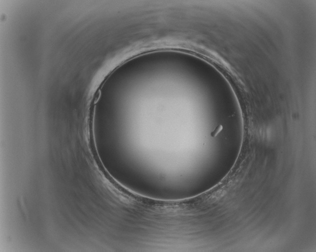 X0000069811512200605191032