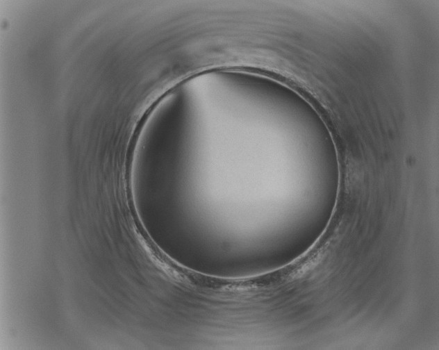 X0000069811513200605191032