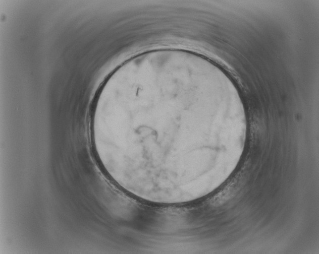 X0000069811514200605191032